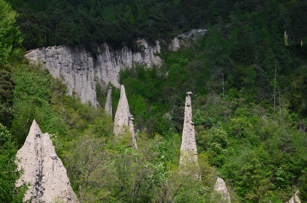 Вилла Agritur All'Olivo Faver Экстерьер фото